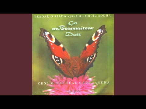 Is É an Tiarna M'Aoire