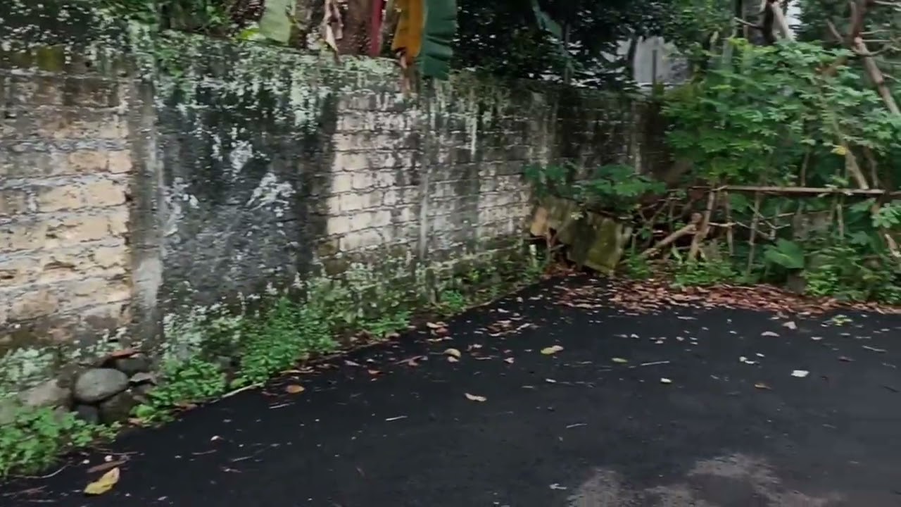 Tanah Murah Dibawah NJOP Dekat Pajajaran di Indraprasta Bogor