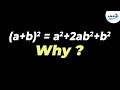 Why is (a + b)² = a² + 2ab + b² | One Minute Bites | Don’t Memorise