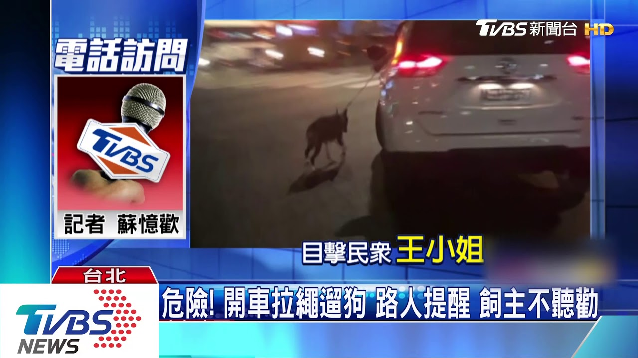危險!開車拉繩遛狗路人提醒 飼主不聽勸
