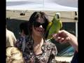 Selena Gomez at the Market with Family August 24 ...