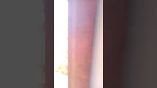 Download lagu story wa iG suasana pagi hari di hotel mp3 Download lagu story wa iG suasana pagi hari di hotel mp3