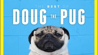 The Best moment of Doug the Pug