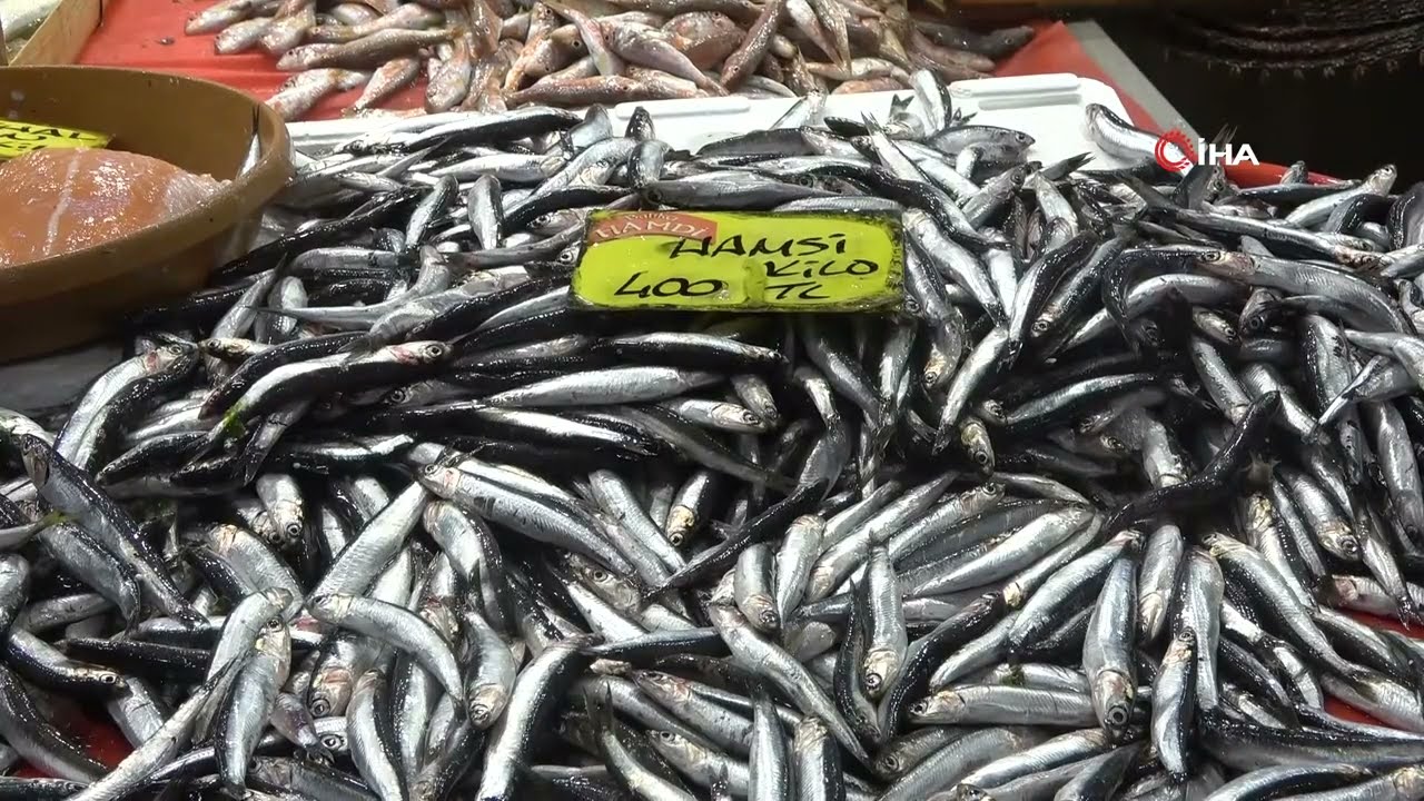 Balıkçılardan müjde: Fiyatlar düştü, ekimde bolluk bekleniyor