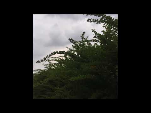 118. Vegard - Endalen [09.08.2018]