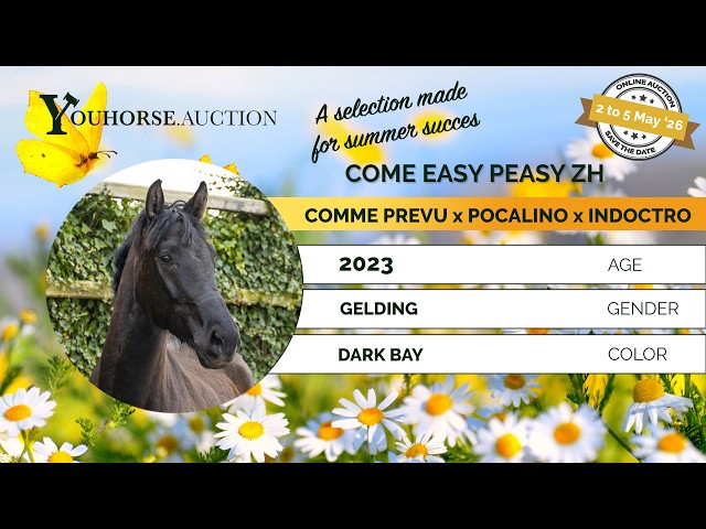 Come Easy Peasy ZH