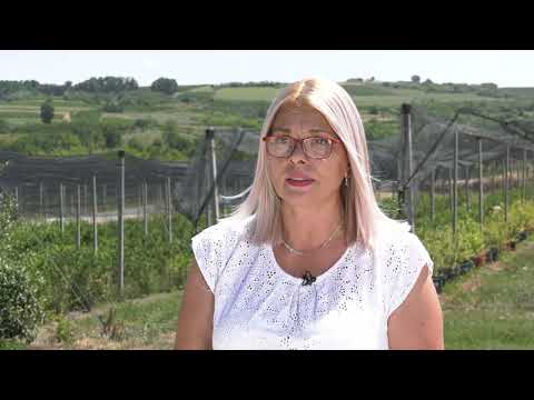 Imamo rešenje ep. 167 15.08.2022. NAJAVA