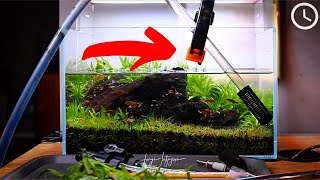 UNS 5N Nano Aquascape Maintenance EASY HACK
