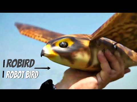 ROBIRD RC ROBOT BIRD 》AMAZING AND SUPER GADGET 》RC ROBOTIC BIRD 》#AMAZON#FLIPCART#GEARBEST#BANGGOOD