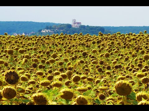 Vezelay   St Jean Pied de Port 2019