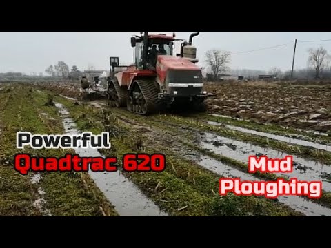 Powerful Case Quadtrac 620 ploughing in Pure Mud - Luca Madone