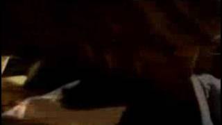 Download lagu Takahiro Yoshikawa - Liszt Parafrasi di Rigoletto S.434 mp3