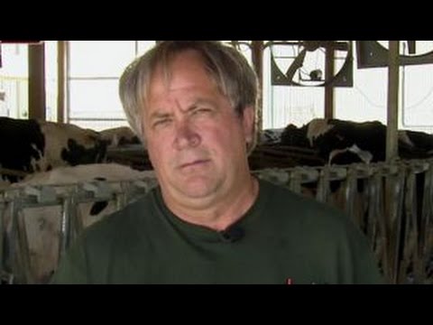 Biz owner says IRS wrongfully seized $65K