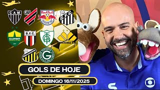 ⚽️ TODOS OS GOLS DESTE DOMINGO 16/11/2025 BRASILEIRÃO A & B, GOLS DE HOJE, GOLS DA RODADA(COMPLETO)