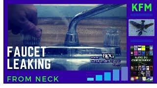 Kitchen Faucet Leaking Water From The Neck How To Fix