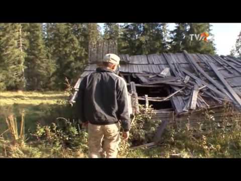 Natură şi aventură - Căutare de cerb la Broşteni, jud.  Suceava