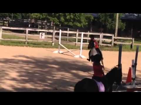 Wicked and Scout 5/8/14