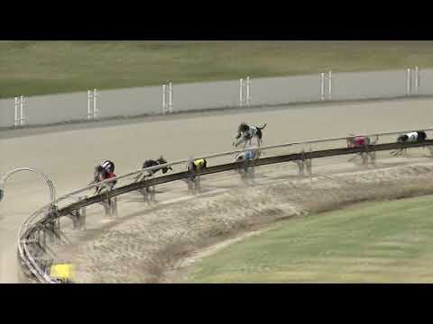 Albion-Park-11112018-Race-9