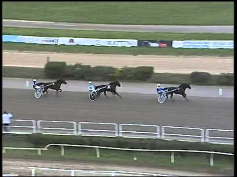 Trotto 02/12/2014 - prova di qualifica