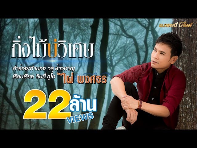 กิ่งไม้บ่วิเศษ - ไผ่ พงศธร
