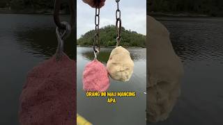 Download lagu Mau Mancing Ikan Apa Ni Bolo‼️😱 #fishing #viral #trendjng #fyp mp3 Download lagu Mau Mancing Ikan Apa Ni Bolo‼️😱 #fishing #viral #trendjng #fyp mp3