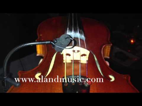 Djangology by Django Reinhardt