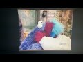 Sesame Street Cookie Monster Doctor Guy Monster Cookie Flu Googly Eyes Say Ahh Normal And Slow 1999