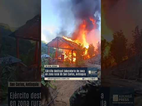 Ejército destruyó laboratorio para el procesamiento de coca en San Carlos, Antioquia