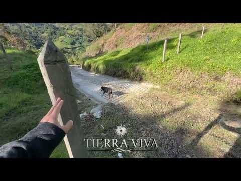 Lote numero 38 Tierraviva ( San vicente ) 1.000m2