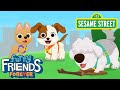 Sesame Street Meet Tango S Friends Elmo And Puppy S Mysterious Mysteries Preview