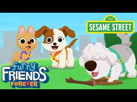 Sesame Street: Meet Tango's Friends! | Elmo and Tango's Mysterious Mysteries Preview!