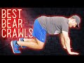 BEAR CRAWL Variations 🐻 7 Ways to do the Bear Crawl