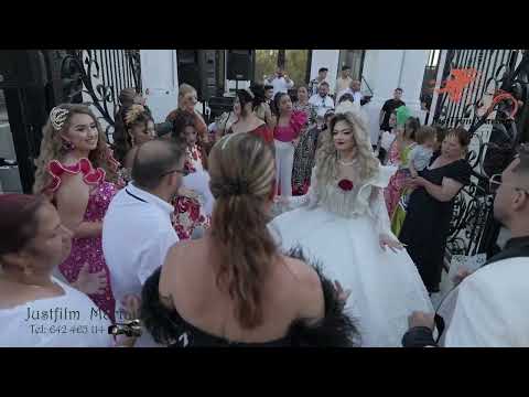 Nunta Alberto & Nisa in alexandria socri mici relu & maria socri mari sandu & papuna