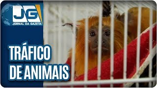 Miniatura do vídeo