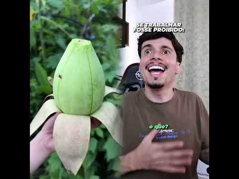 If you also like the videos I've posted, please follow me. Thank you so much