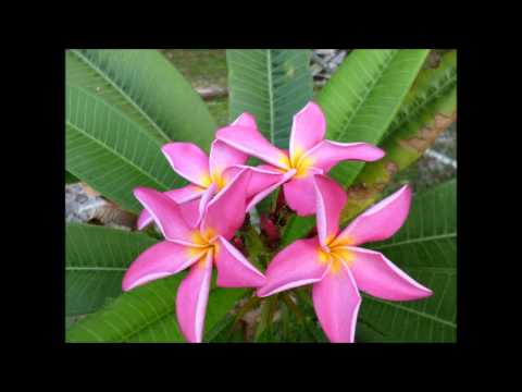 DJ PLAYAR vs Ruby Turner - Story of a Man and a Woman