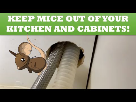 Keep Mice and Rodents Out of Your Kitchen and Cabinets!