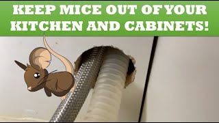 Keep Mice and Rodents Out of Your Kitchen and Cabinets!