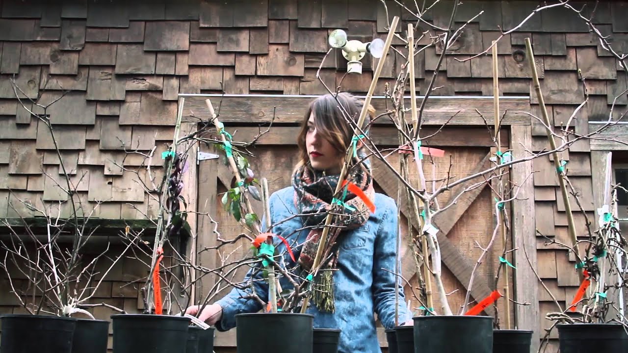 Delerium ft. Emily Haines — Glimmer