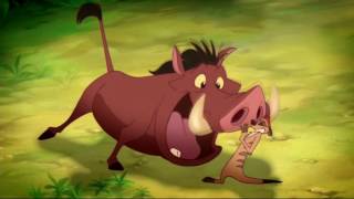 Disney-Wild About Safety