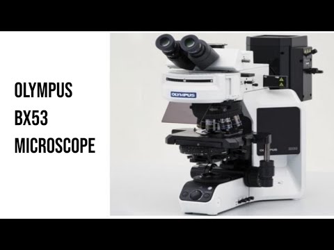 BX53 Olympus Microscope