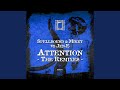 Attention (Void DJ Remix)