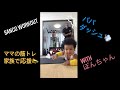 【エクササイズ】sango workout vlog 〜腹筋〜 【ほのぼの】【家族】
