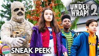 Trailer Preview Image