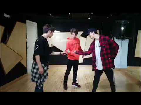 [Dance Cut] Stray Kids' Dance Line Practice