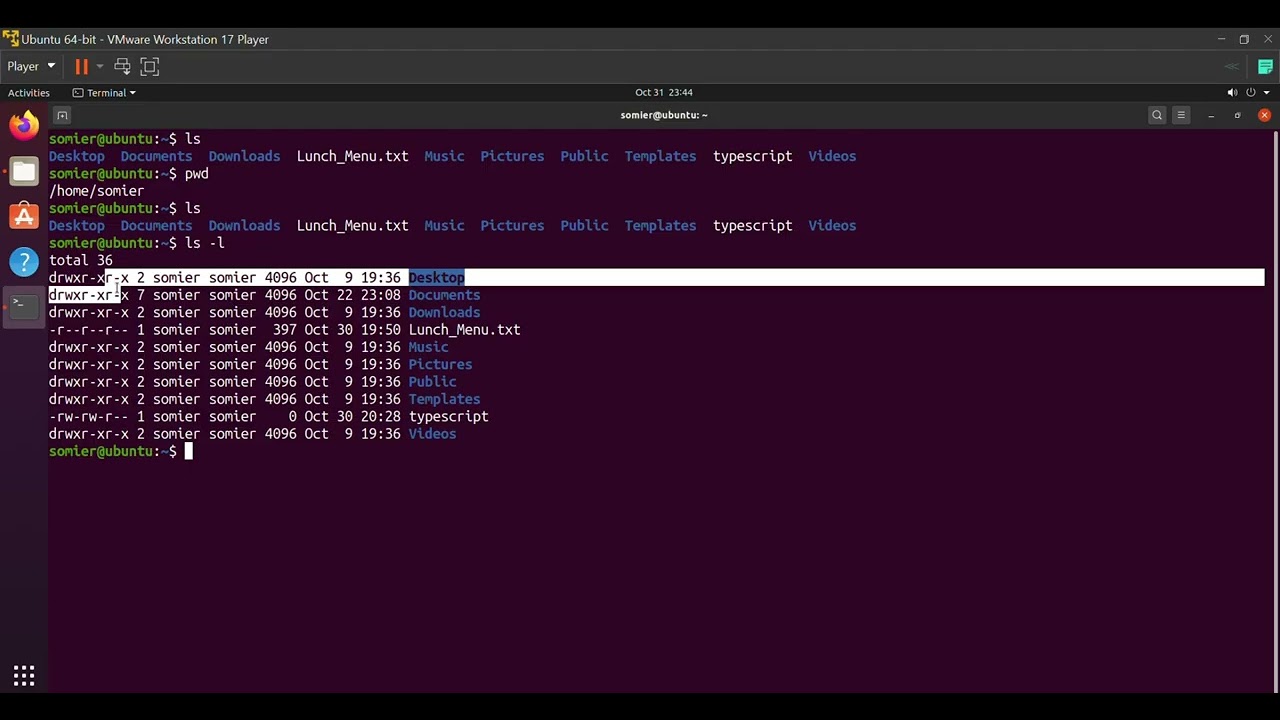DAT 10303 LAB3 LS COMMAND