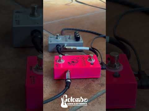 Colombo Audio Electronics Lachryma Wah-Wah - The Wailing Machine image 6