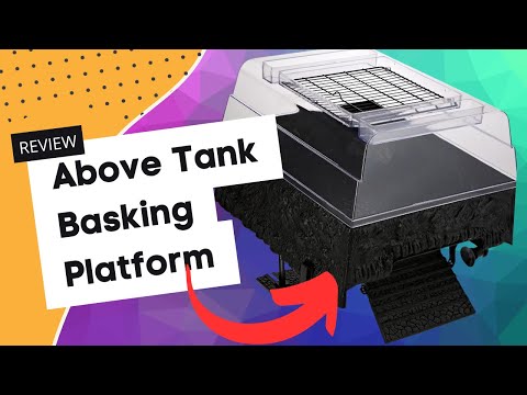 Penn Plax Turtle Basking Platform 3 Year Review