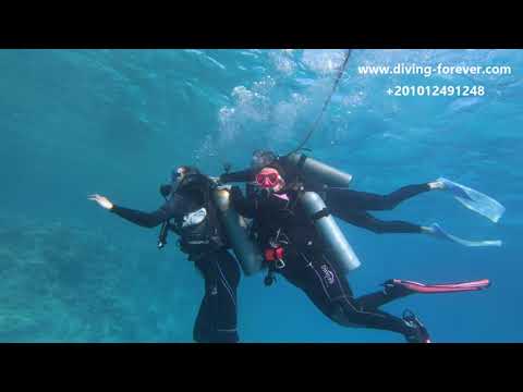 REJS DO DOMU DELFINÓW 🐬🐬