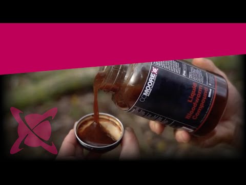 CC Moore Liquid Bloodworm Compound